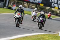 Oulton-Park-21st-March-2020;PJ-Motorsport-Photography-2020;anglesey;brands-hatch;cadwell-park;croft;donington-park;enduro-digital-images;event-digital-images;eventdigitalimages;mallory;no-limits;oulton-park;peter-wileman-photography;racing-digital-images;silverstone;snetterton;trackday-digital-images;trackday-photos;vmcc-banbury-run;welsh-2-day-enduro